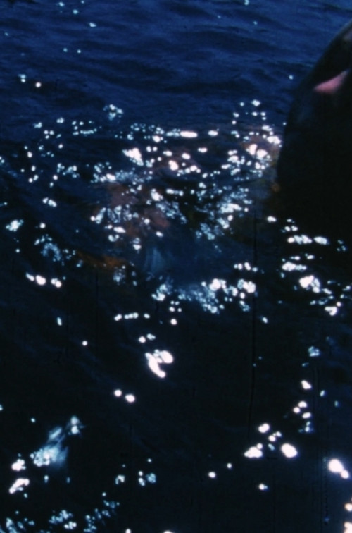 Outward Bound: Ahnameke poster