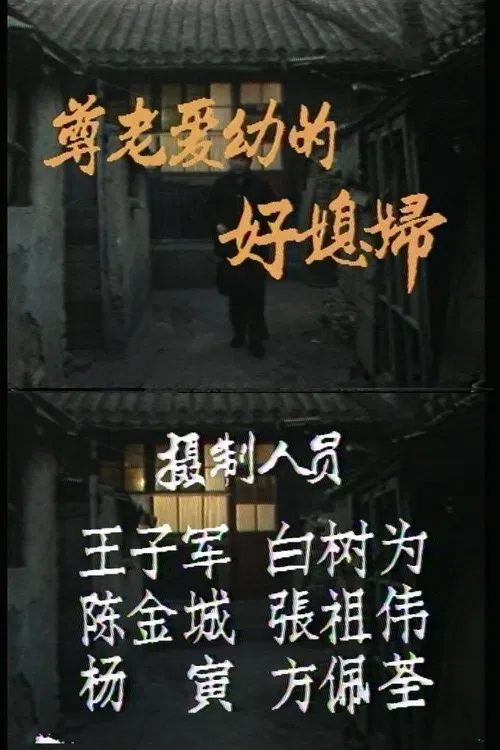 A Good Caring Wife poster