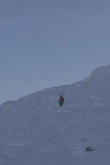 The Observers poster