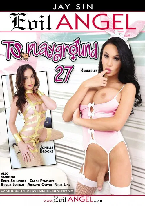 TS Playground 27 poster