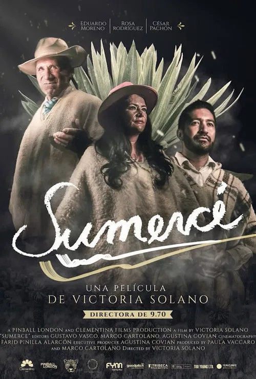 Sumercé poster
