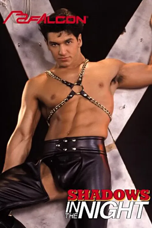 Shadows In The Night poster