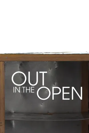 Out In The Open poster