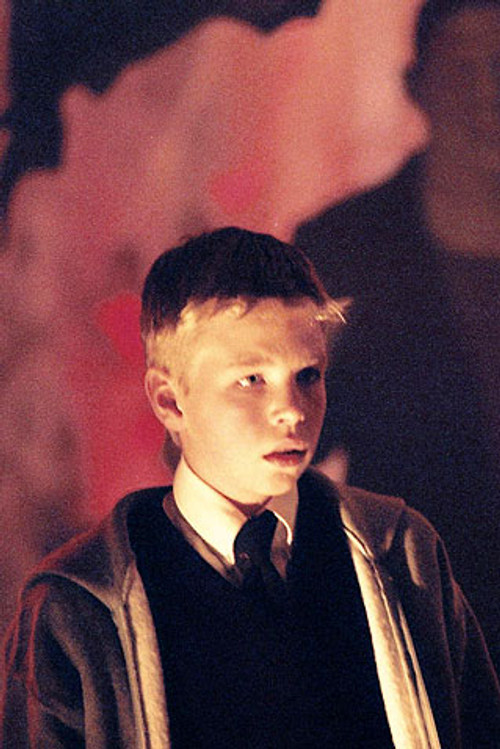 Tim McCallum profile