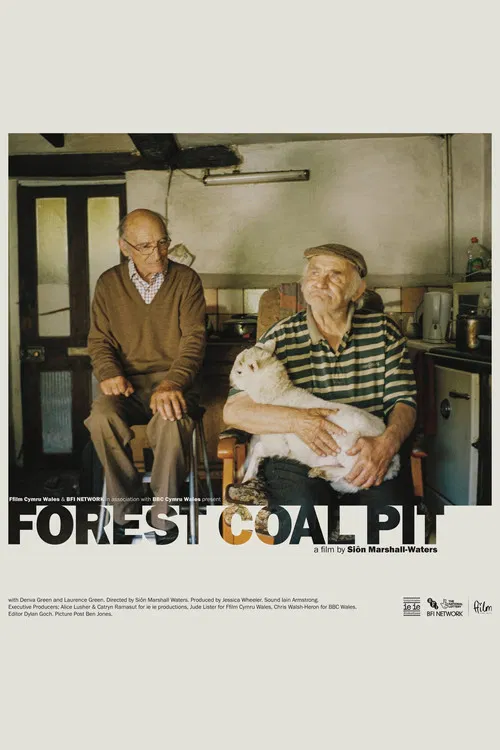 Forest Coal Pit poster