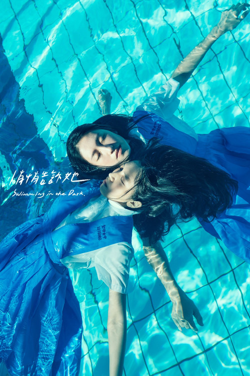 Swimming in the Dark poster