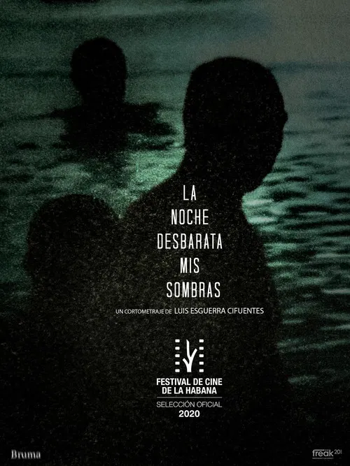 La Noche Desbarata mis Sombras poster
