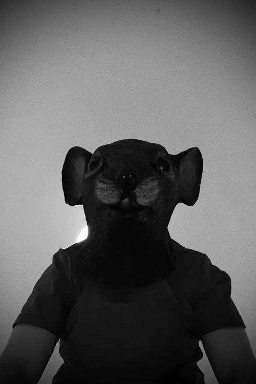 Arthur Vischer profile