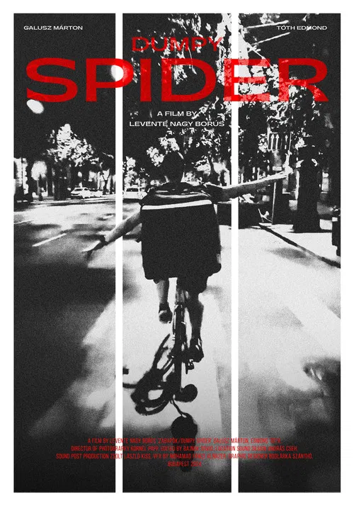 Dumpy Spider poster