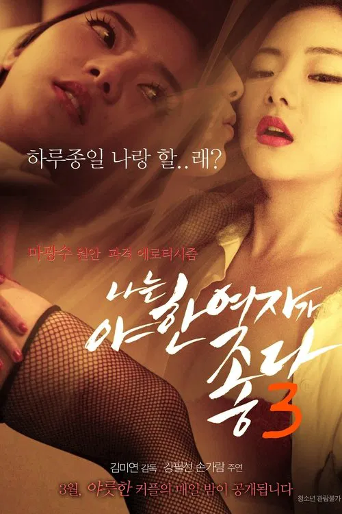 I Like Sexy Women 3 poster