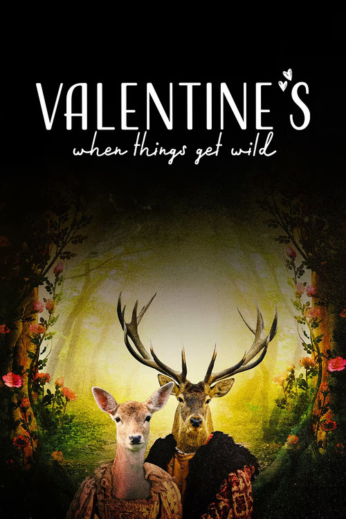 Valentine's: When Things Get Wild poster