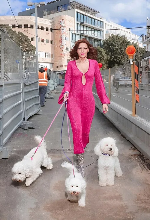 דנה קמה poster