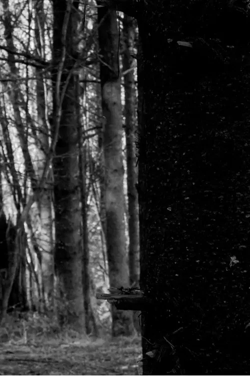 A New War Film poster