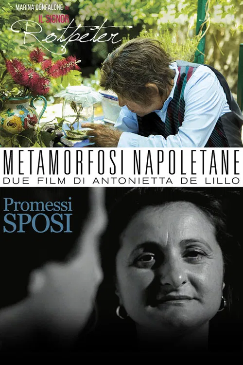 Metamorfosi Napoletane poster