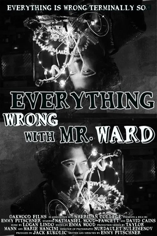Everything Wrong with Mr. Ward poster