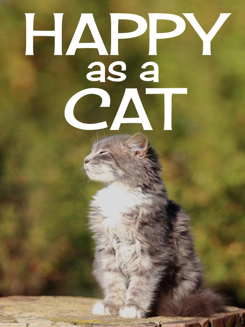 Happy as a Cat poster