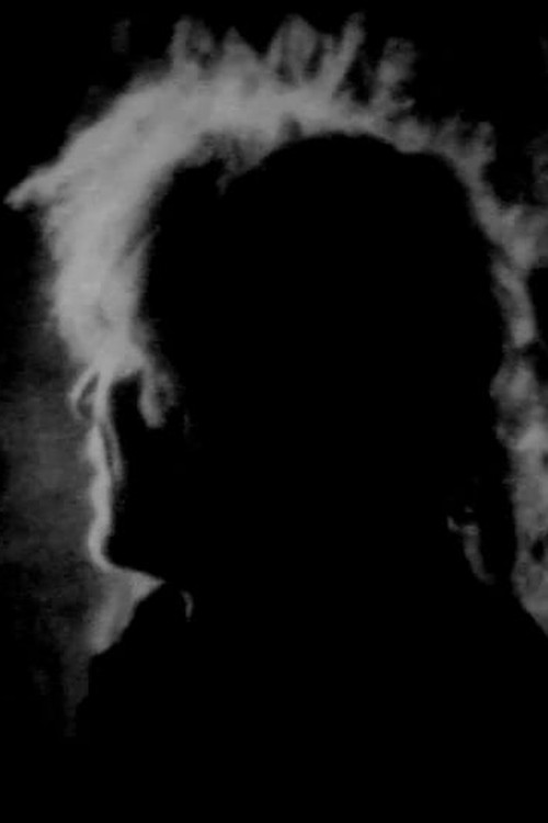 La Nuit Aveugle poster