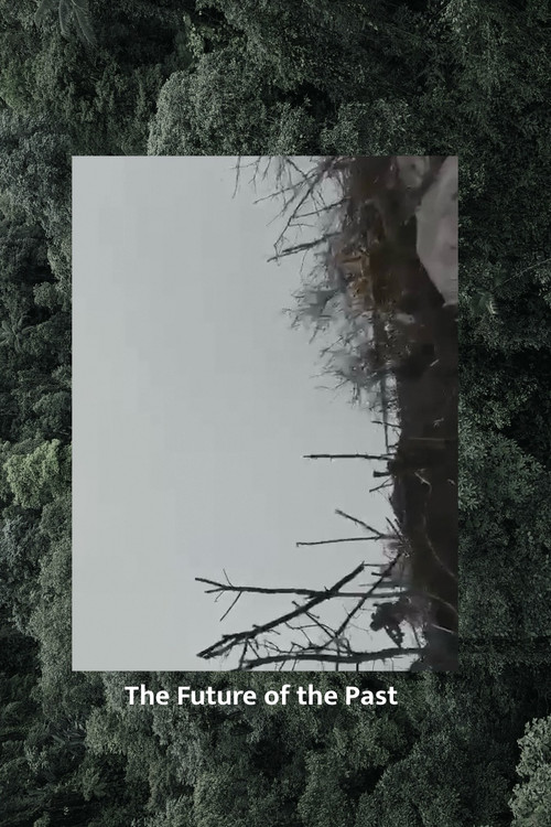 The Future of the Past poster