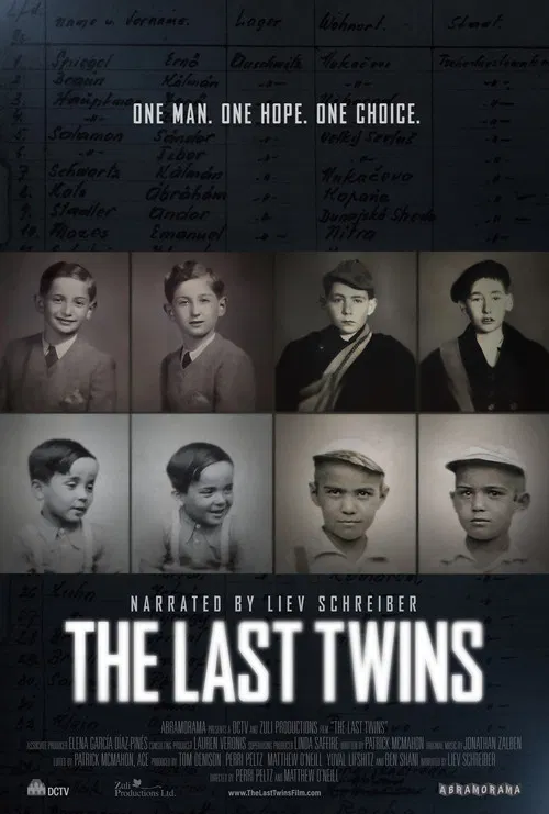 The Last Twins poster