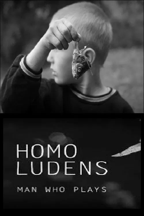 Homo Ludens. Man Who Plays poster