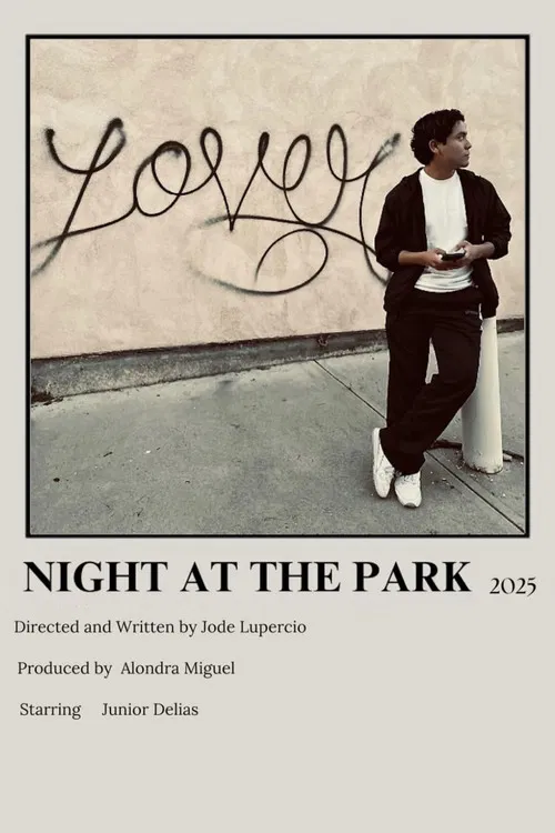 Night at the Park poster