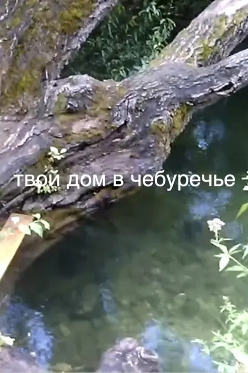 your house in the Cheburechie poster