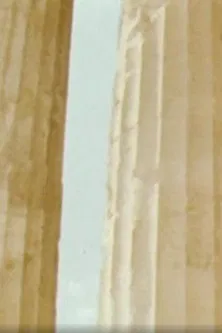 Chronique Atopique poster