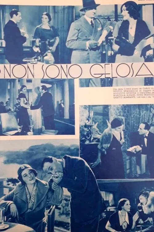 Non son gelosa poster