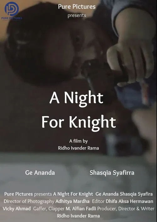 A Night For Knight poster