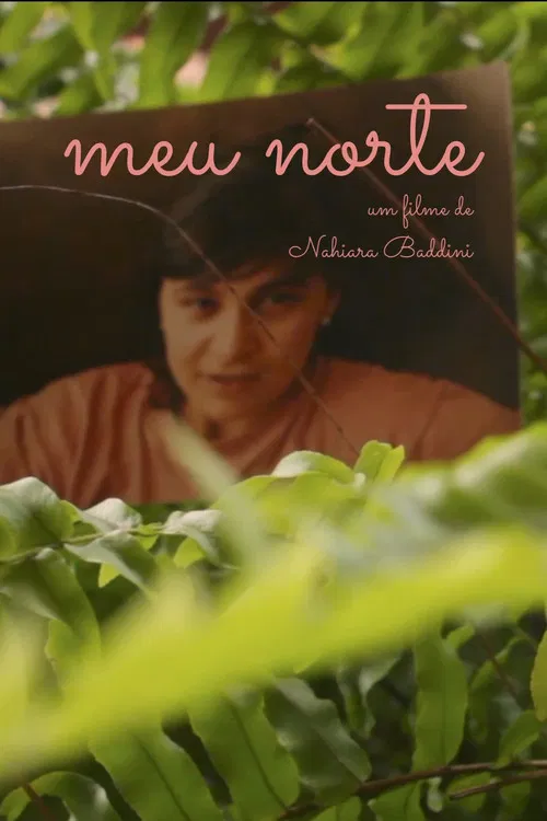 Meu Norte poster