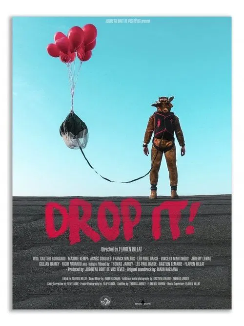 Drop It! poster