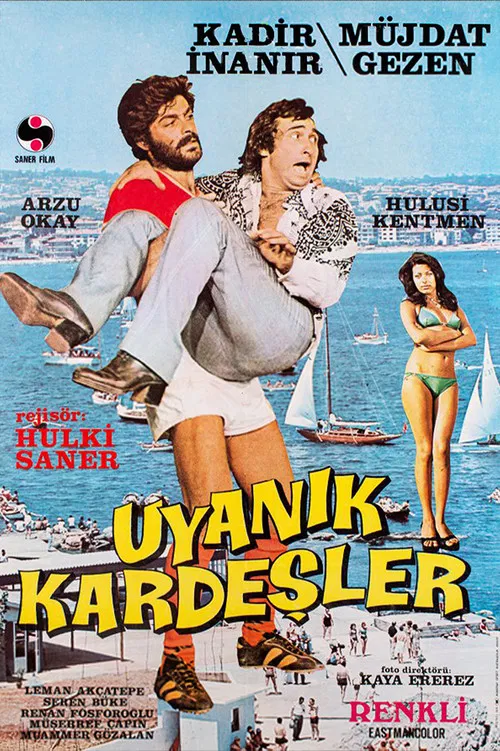 Uyanık Kardeşler poster