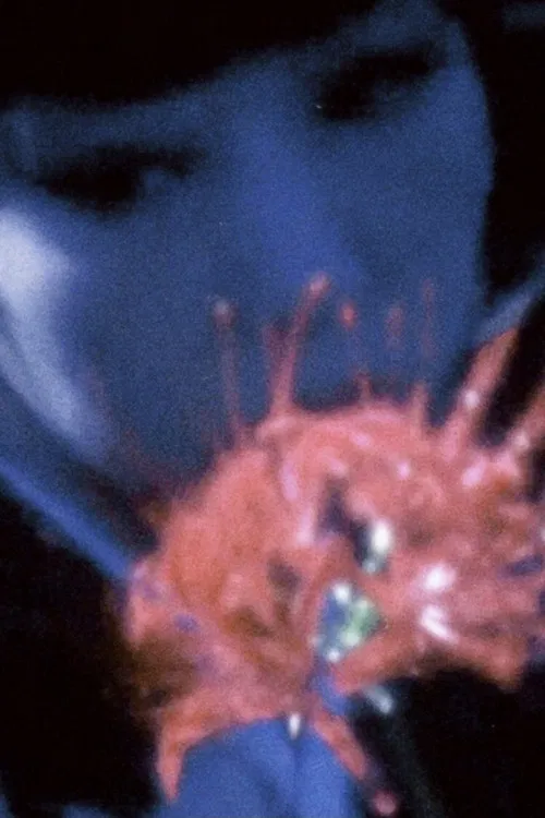 Despair Arabesque poster