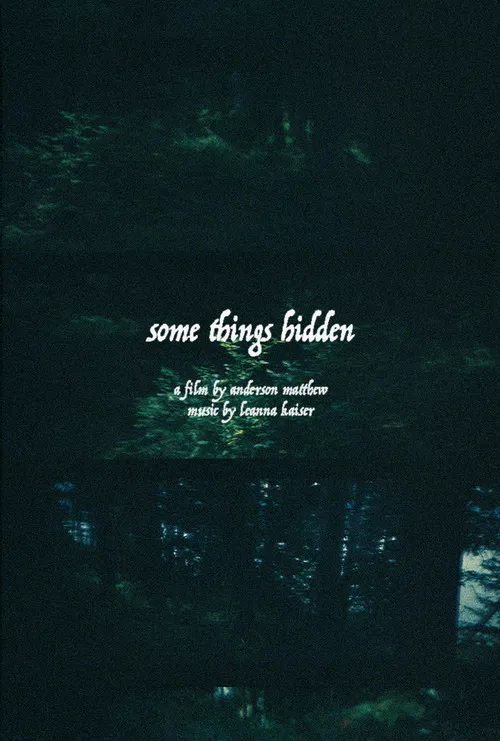 Some Things Hidden poster