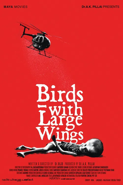 Valiya Chirakulla Pakshikal poster