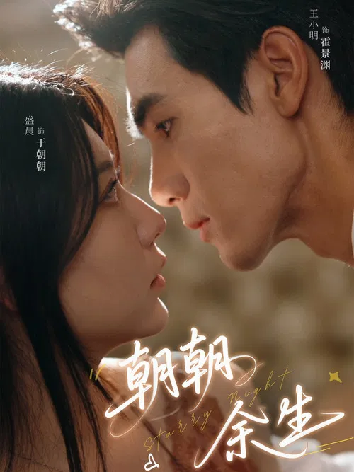朝朝余生 poster