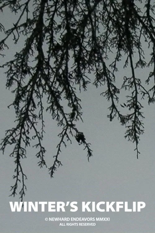 Winter's Kickflip poster