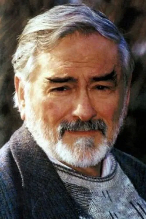 Hans Wyprächtiger profile