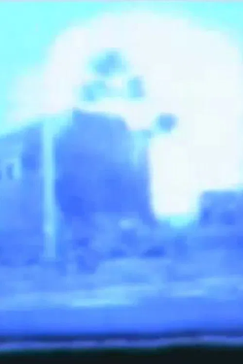 VÖRORT LIBRINO poster