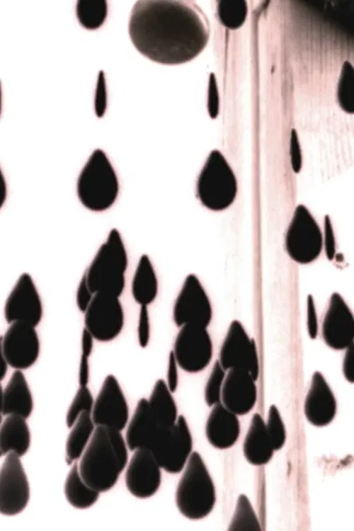 Something To Treasure poster