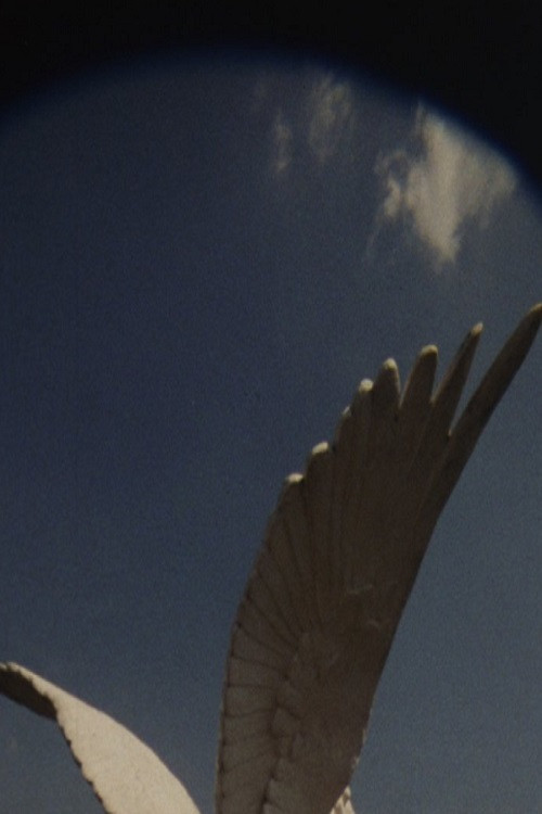 The House, The True One and The One That Follows, Is Yet to be Built poster