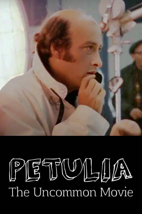 Petulia: The Uncommon Movie poster