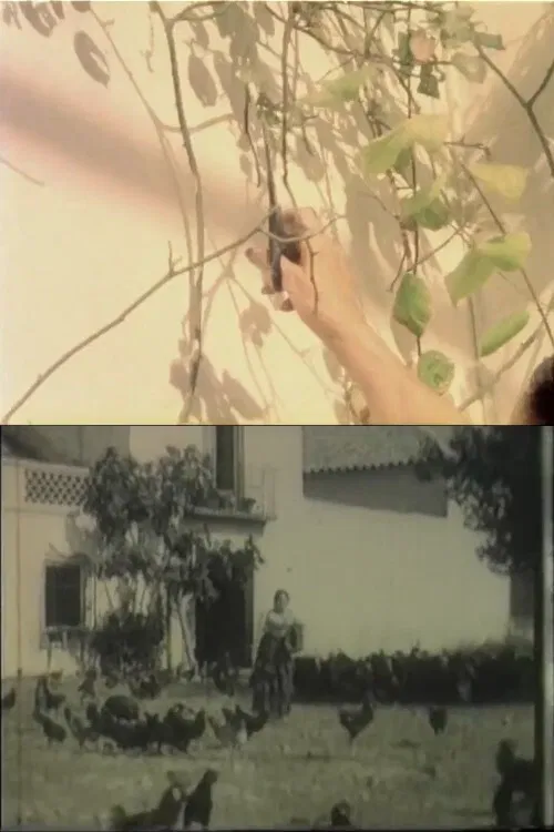 Las flores no quieren viento poster