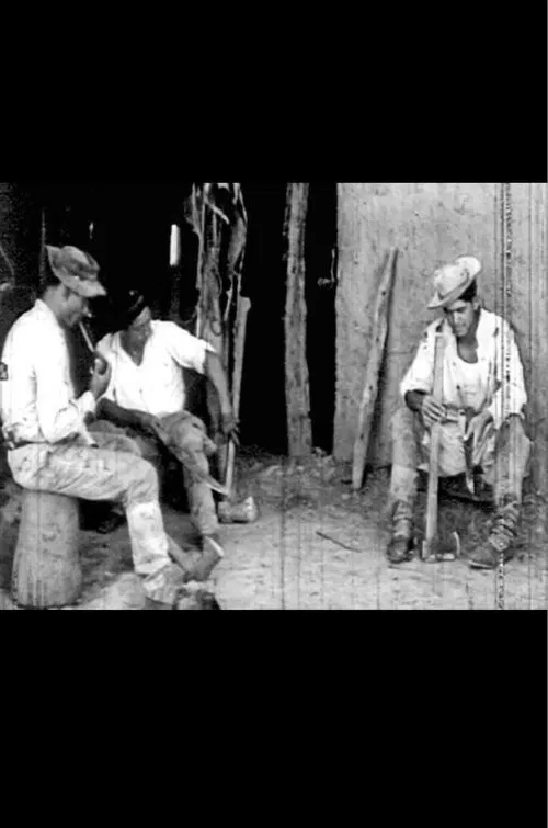 Hachero nomás poster