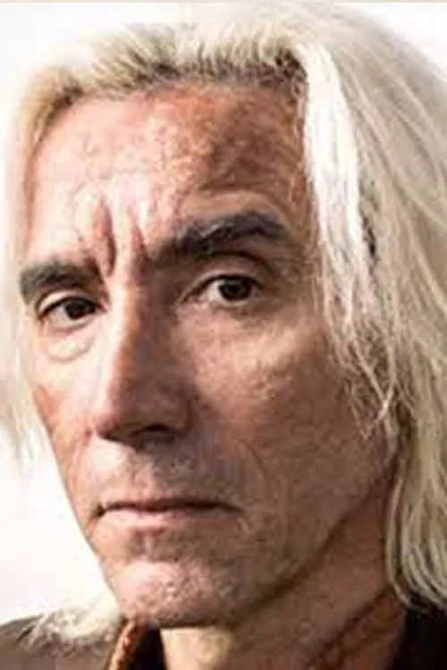 Nelson Diniz profile