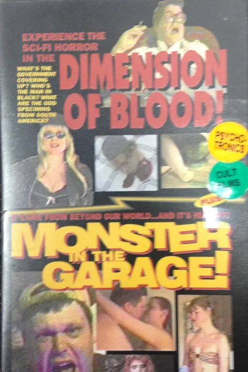 Dimension of Blood poster
