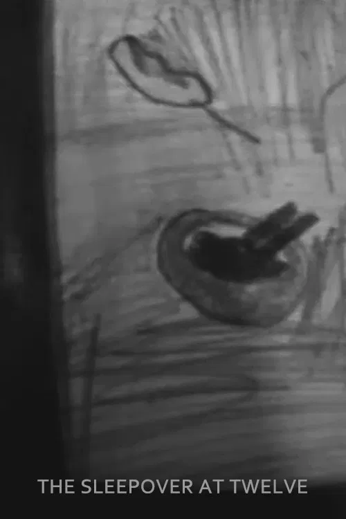 The Sleepover at Twelve poster