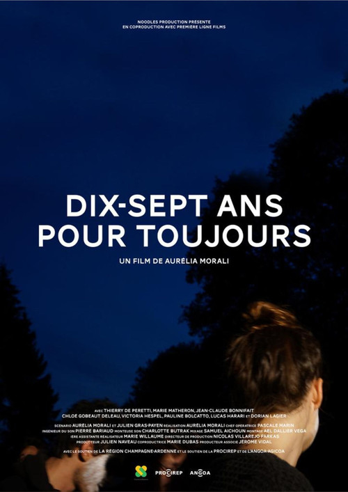 Dix-sept ans pour toujours poster