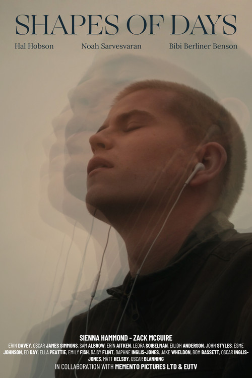 Shapes of Days poster