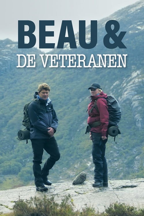 Beau and the Veterans poster